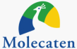 Molecaten